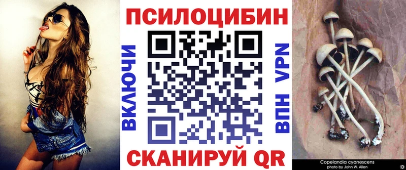 Псилоцибиновые грибы мухоморы Петровск-Забайкальский